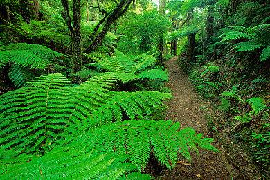 光荣微博暗示7月6日将公布Gust工作室新作